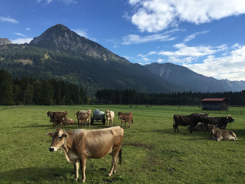 Steinbock Bed & Breakfast Hotel Fischen im Allgaeu Exterior photo